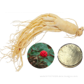 Panax Ginseng Extract